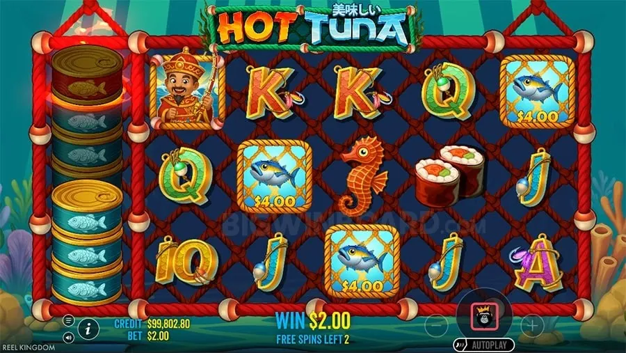 Entertainment and Gaming